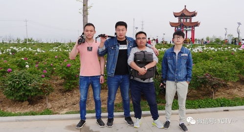 影視宣傳，我們是認真的——西安網站建設助力影視行業騰飛