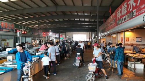 太漂亮了 一起來看海陽農副產品批發(fā)市場的新家