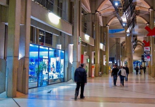 巴基斯坦姑娘來中國游玩,才兩天就哭著回國 我都吃不下飯