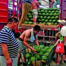 貿(mào)易批發(fā)商